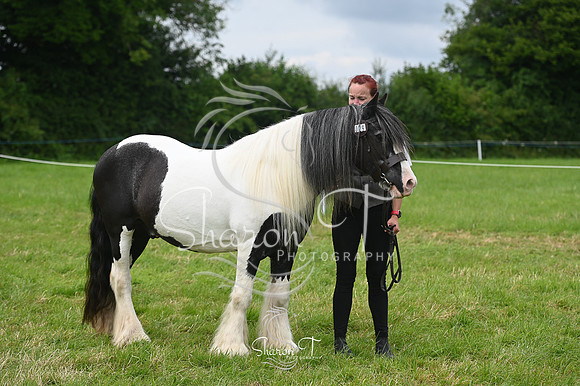 130333-STP_5161