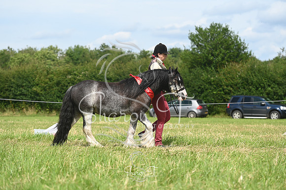 151741-STP_5440