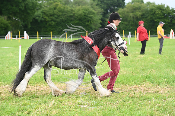 125612-STP_5137
