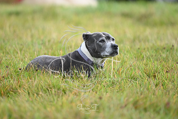 DSC_2200