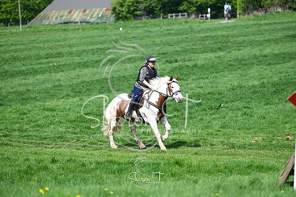 STP_3350