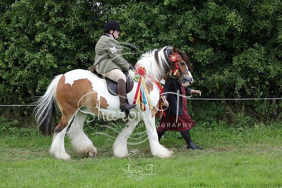 123008-IMG_5942