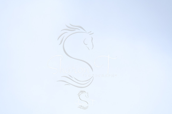 STP_5967