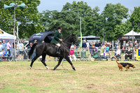 STP_6758