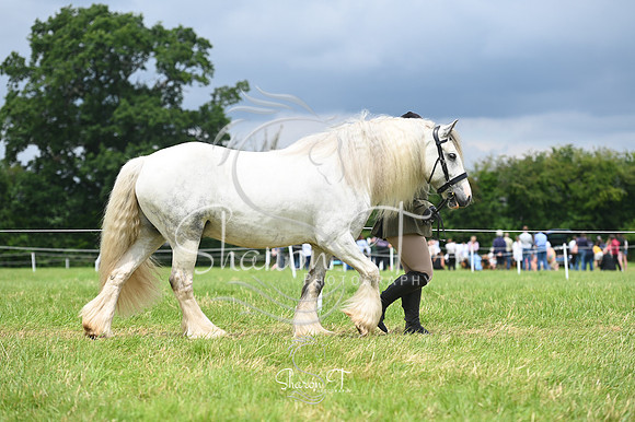 131808-STP_5201
