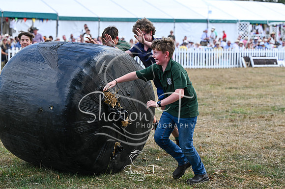 STP_4684
