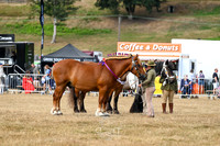 STP_4164