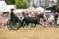 STP_4483