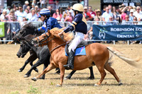 Shetland Pony Racing