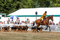 Hound Parade
