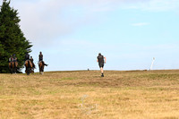 STP_8755
