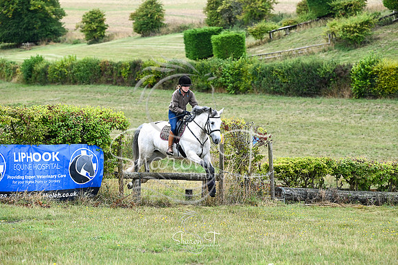 STP_8770