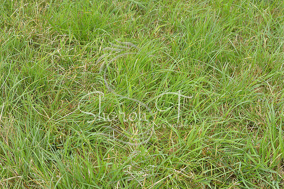 094924-DSB_0759