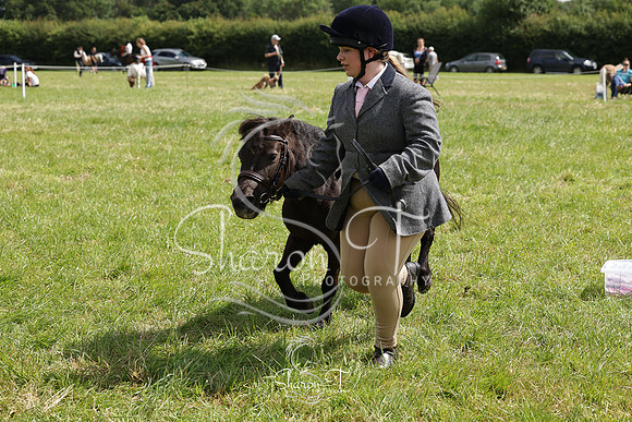 104101-IMG_2569