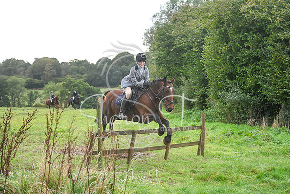 STP_4411