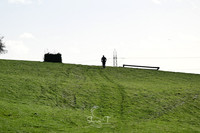 STP_0080