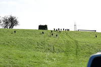 STP_0087