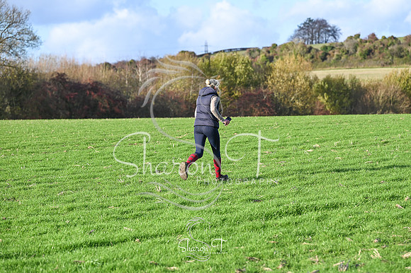 STP_0348