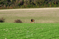 STP_0379