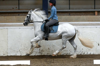 Flatwork 4 with Katie
