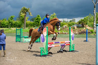 Show Jumping
