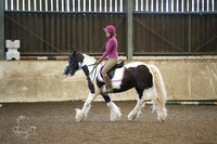 Dressage