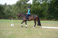 009