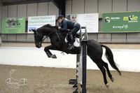 Show Jumping