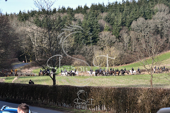 DSC_1123
