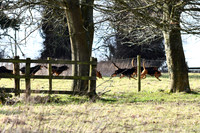 DSC_0949