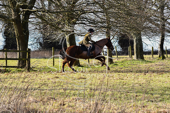 DSC_1078