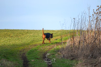 DSC_4283