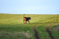 DSC_4282