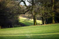 DSC_4277