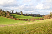 STP_0907