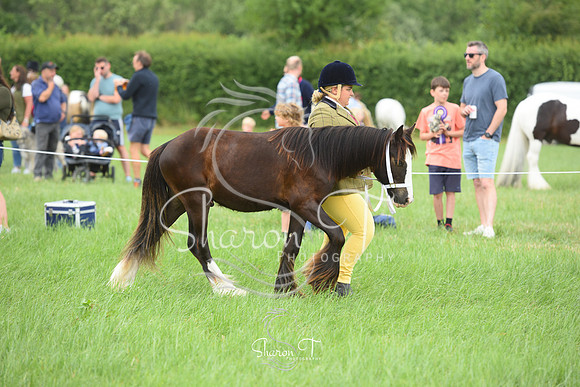 114414-DSC_1100
