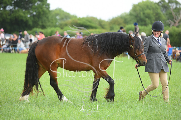 104140-DSC_0950