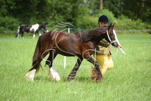 103502-DSC_0921