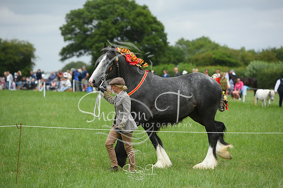 124146-DSC_1302