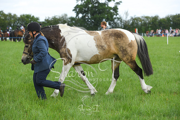 104234-DSC_0954