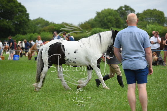 110004-DSC_0993