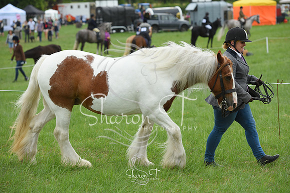 113500-DSC_1077