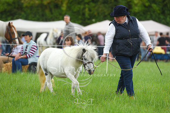 104411-DSC_0959