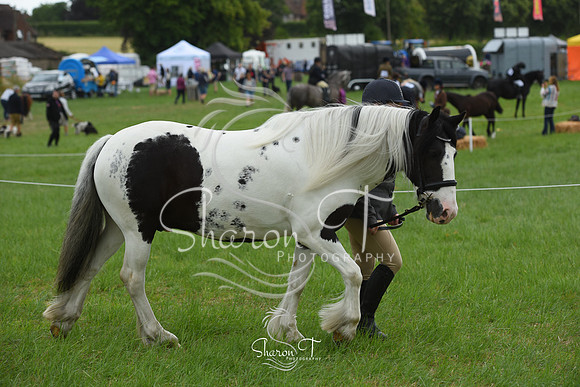 113450-DSC_1074
