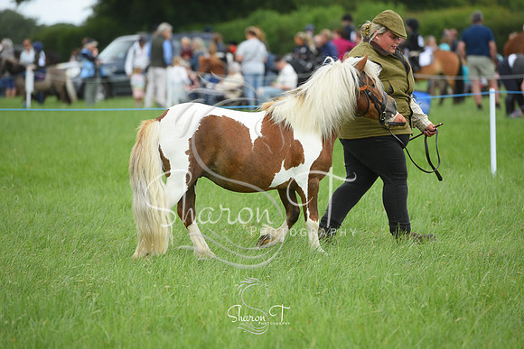 111942-DSC_1035