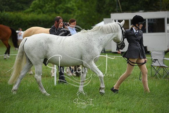121942-DSC_1214