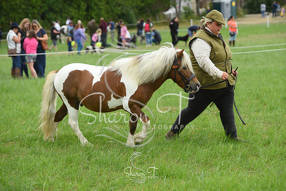 113436-DSC_1071