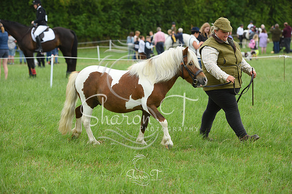 113436-DSC_1070
