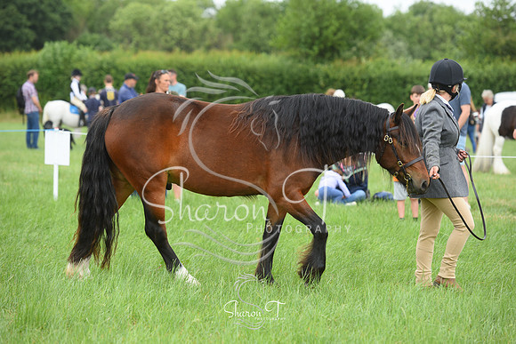 114510-DSC_1109