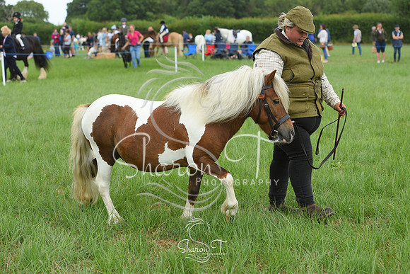 112344-DSC_1053